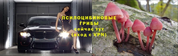 кокс Елизово