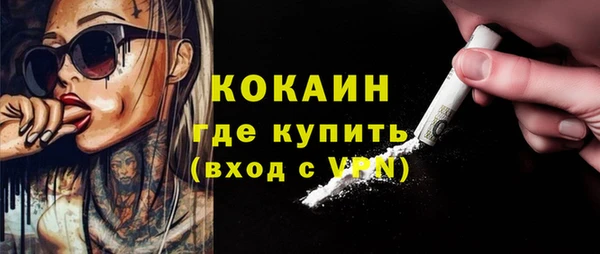 кокс Елизово