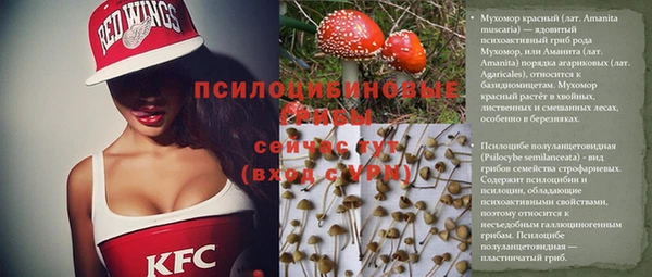 прущий лед Ельня