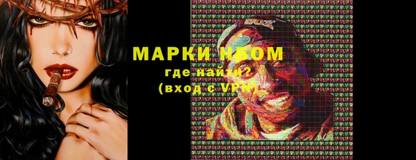 кокс Елизово