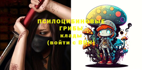 кокс Елизово