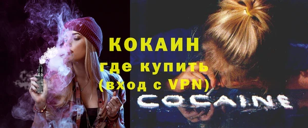кокс Елизово