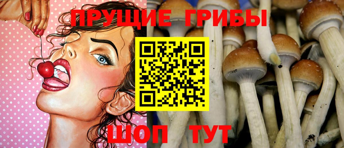 Псилоцибиновые грибы мицелий  Вход с VPN  Псилоцибиновые грибы прущие грибы  Нефтеюганск 
